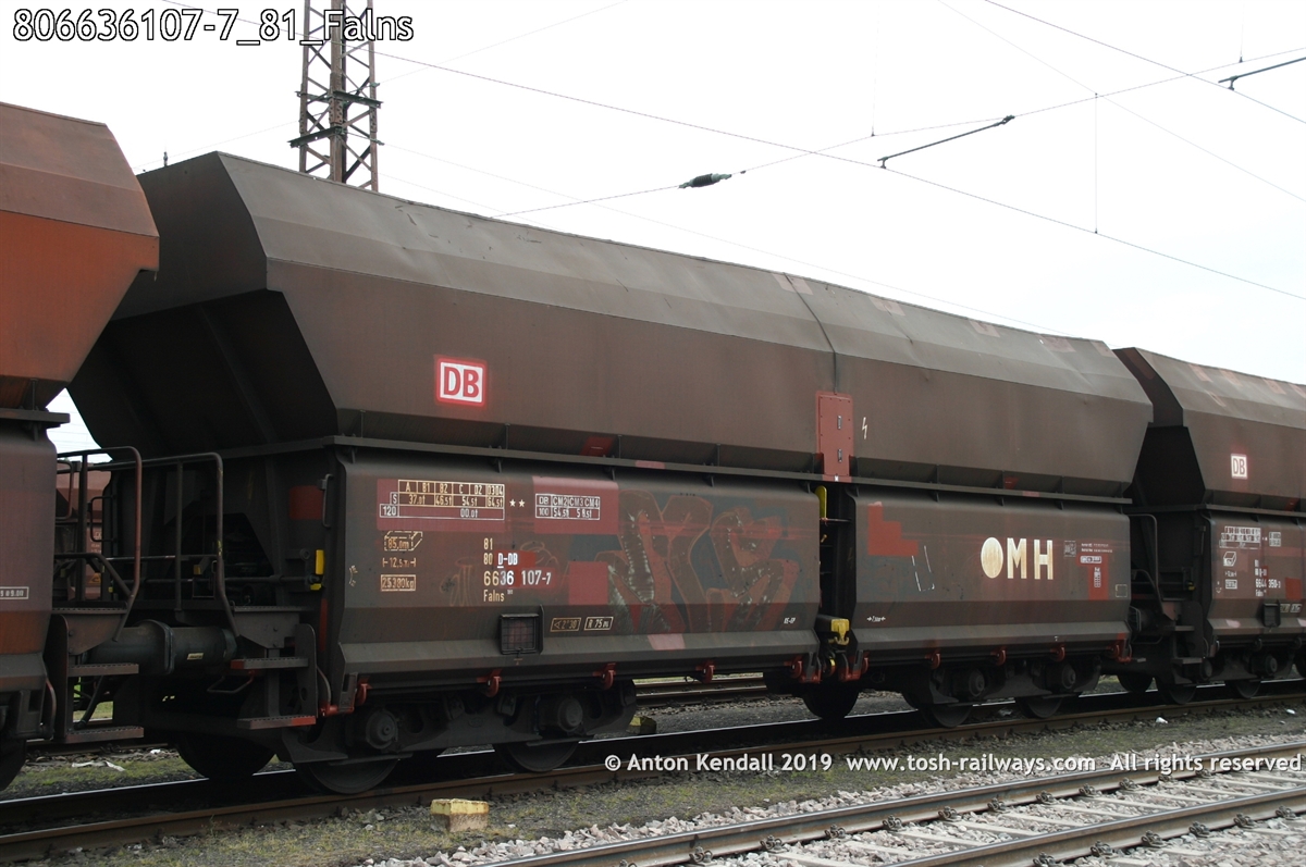 806636107-7_81_Falns.jpg